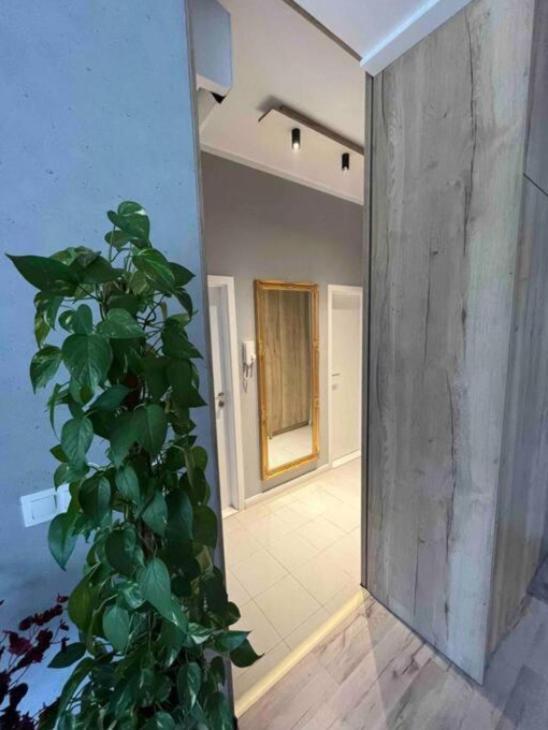 Cozy Apartment Bratislava Extérieur photo